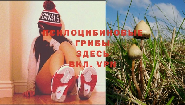 соль курить ск Белоозёрский