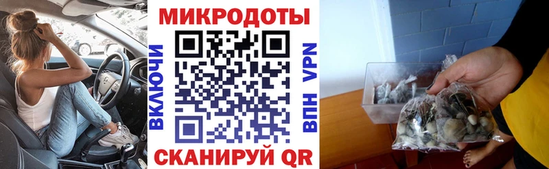 наркошоп Гусев мориарти клад Псилоцибиновые грибы Psilocybe
